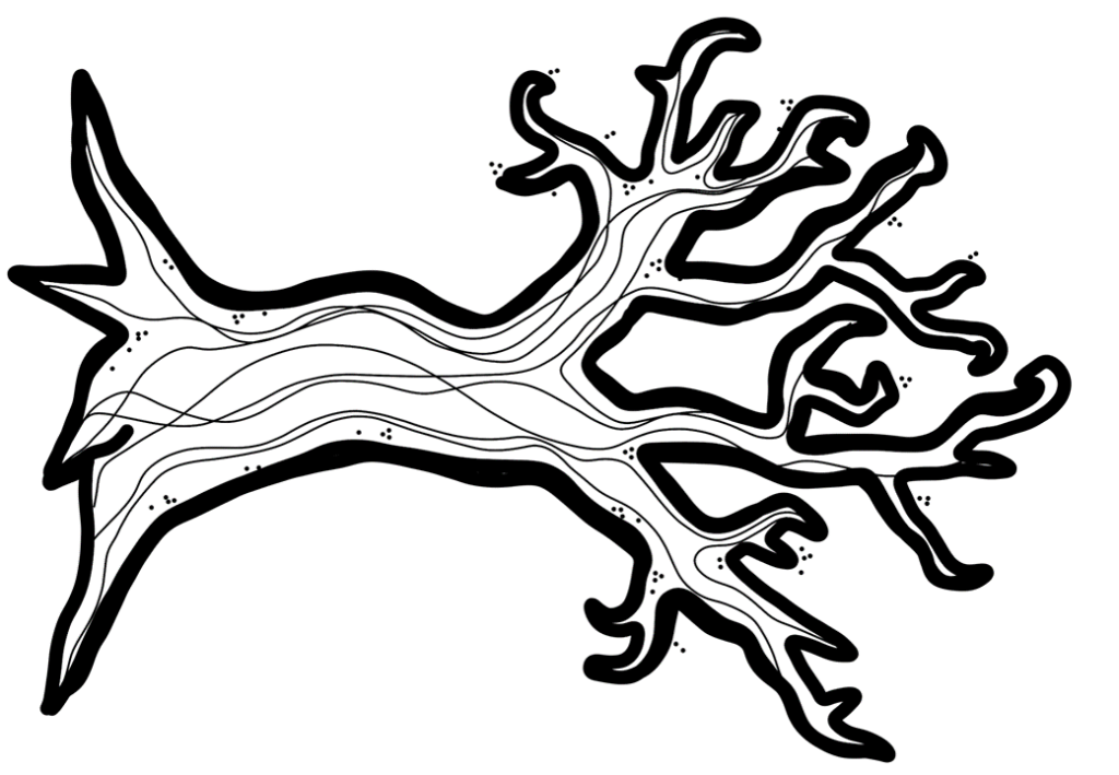 % Atividades da primavera e dia da árvore