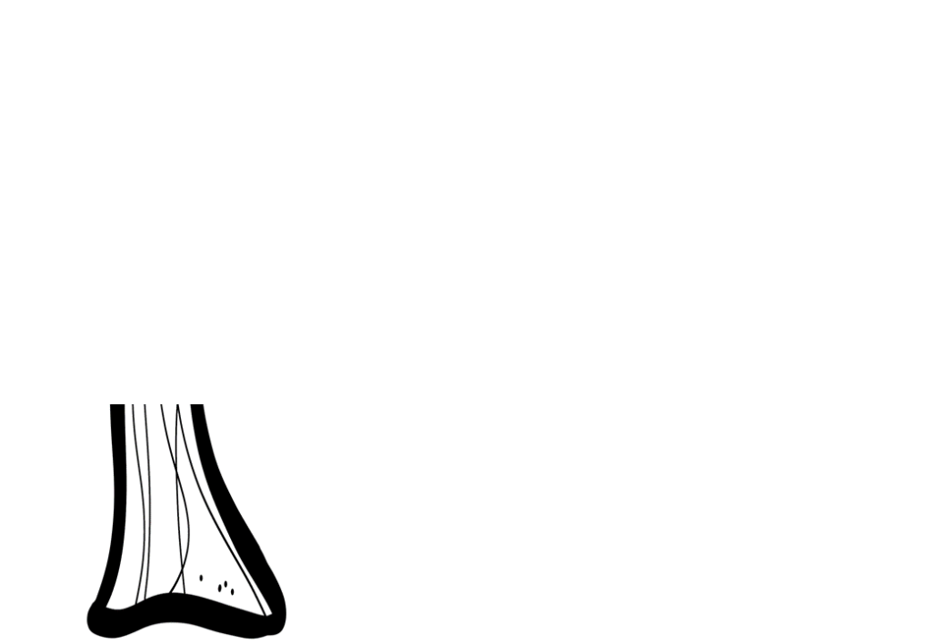 % Atividades da primavera e dia da árvore