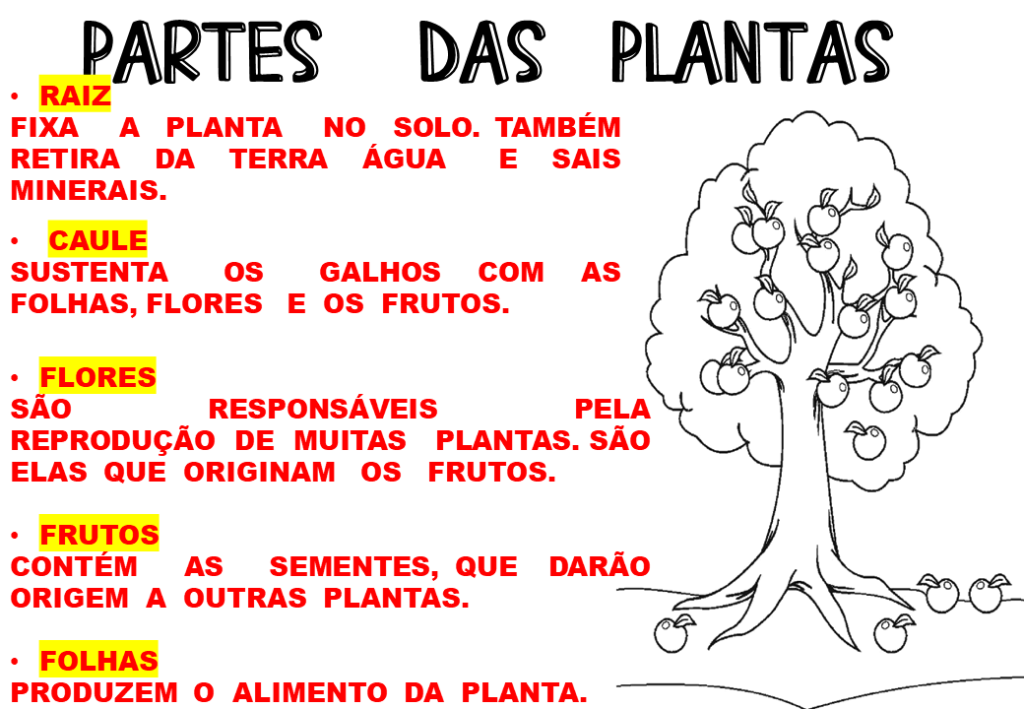 % Atividades da primavera e dia da árvore