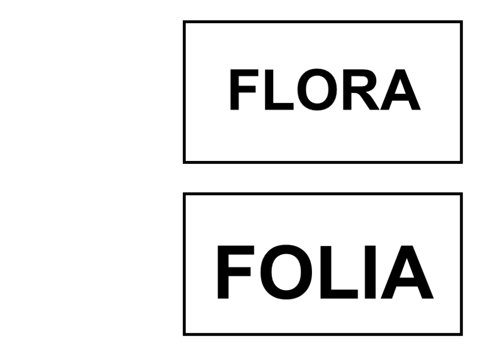 % Leitura misteriosa Encontro Vocálicos 1