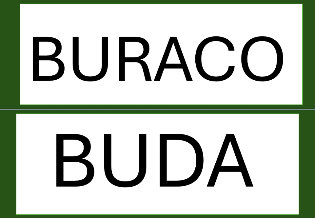 % Palavras com F e V 2024