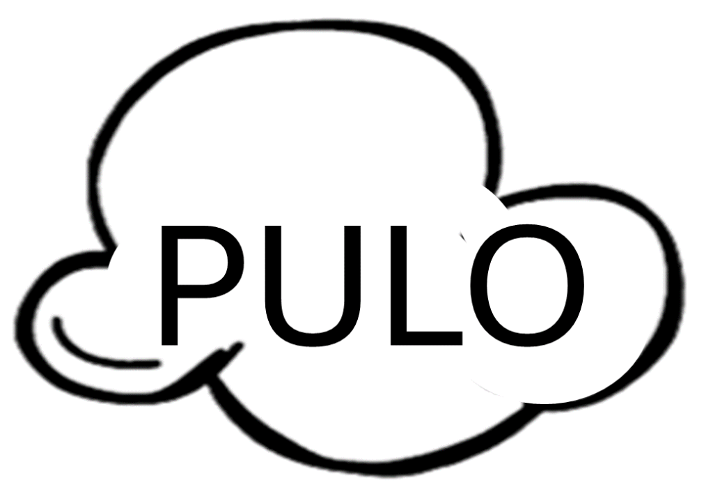 % Palavras leitura Letra P 2024