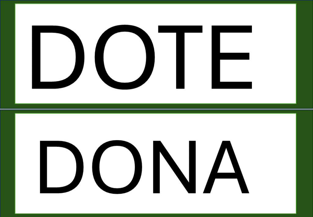 % Palavras com F e V 2024