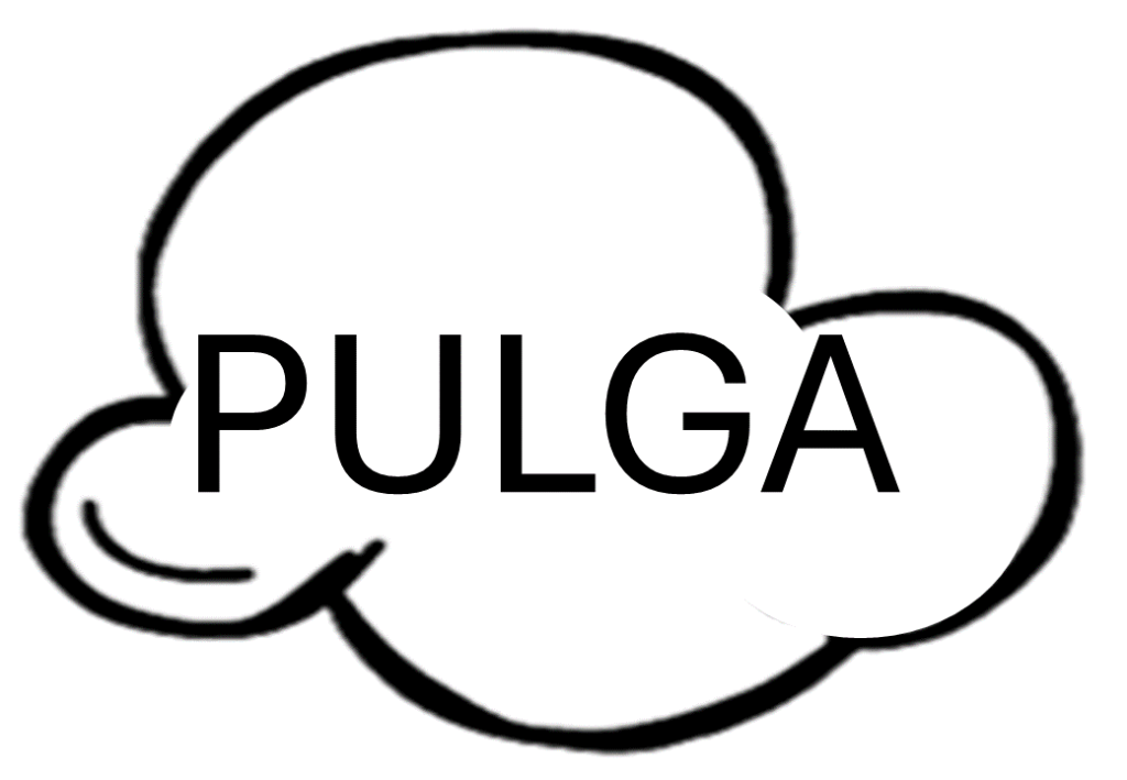 % Palavras leitura Letra P 2024