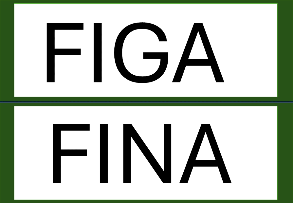 % Palavras com F e V 2024