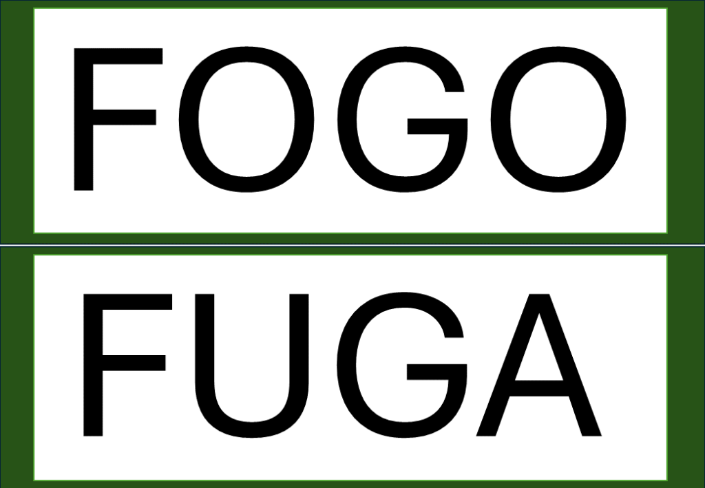 % Palavras com F e V 2024