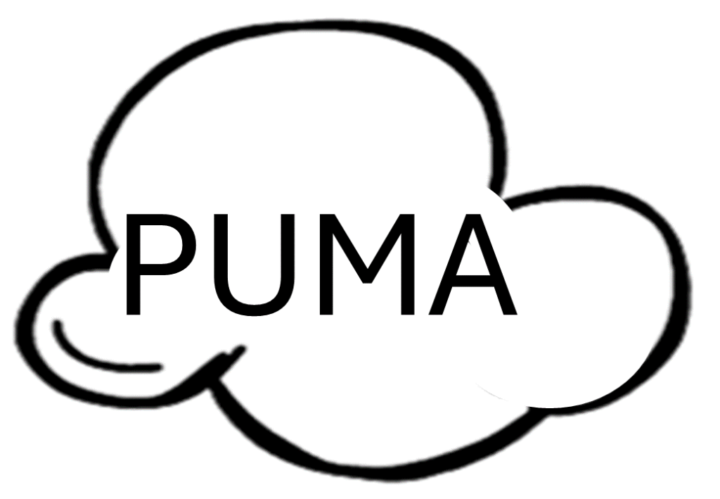 % Palavras leitura Letra P 2024