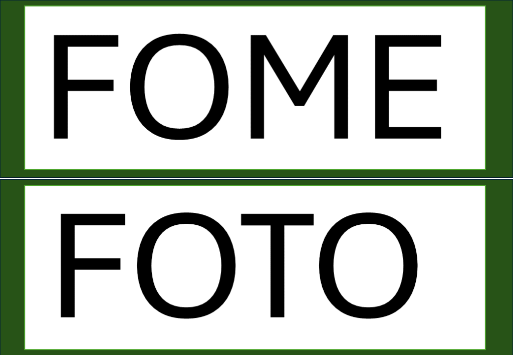 % Palavras com F e V 2024