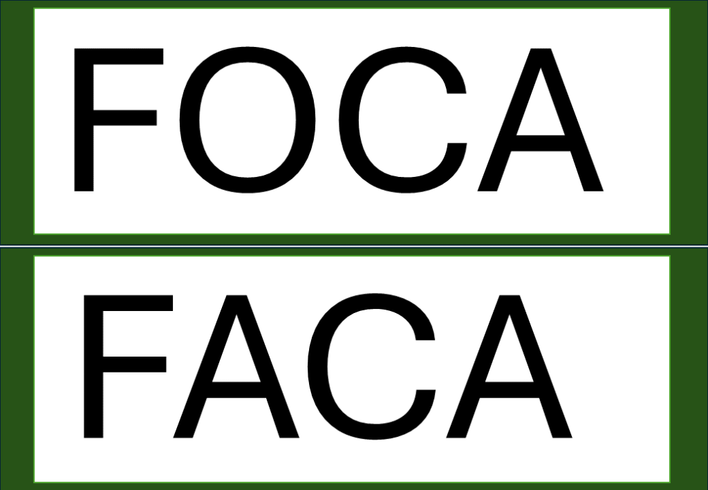 % Palavras com F e V 2024