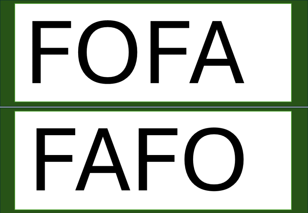 % Palavras com F e V 2024