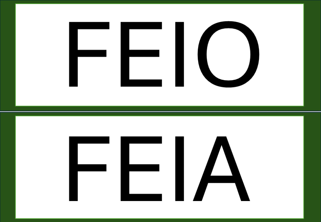 % Palavras com F e V 2024