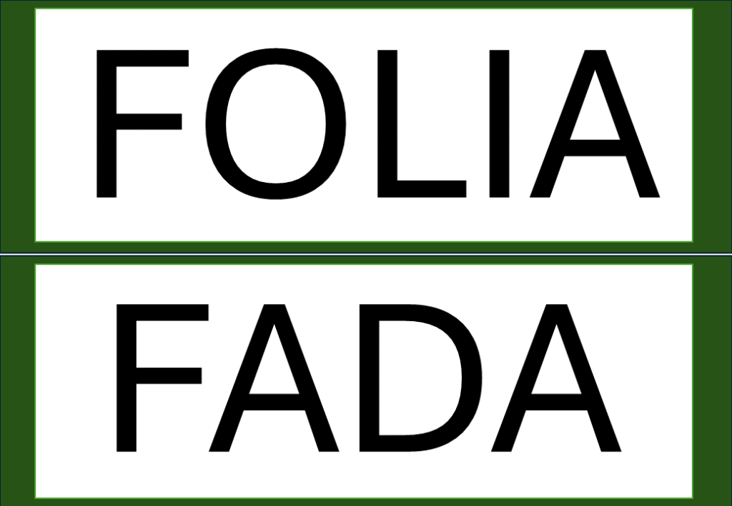 % Palavras com F e V 2024