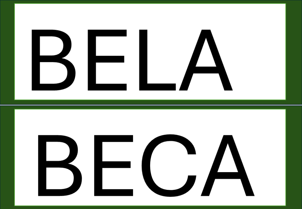 % Palavras com F e V 2024