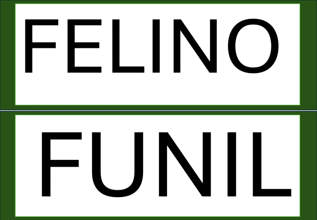 % Palavras com F e V 2024