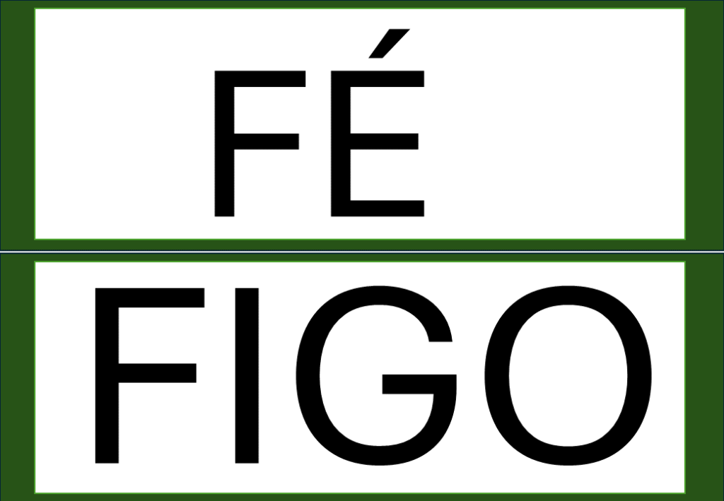 % Palavras com F e V 2024