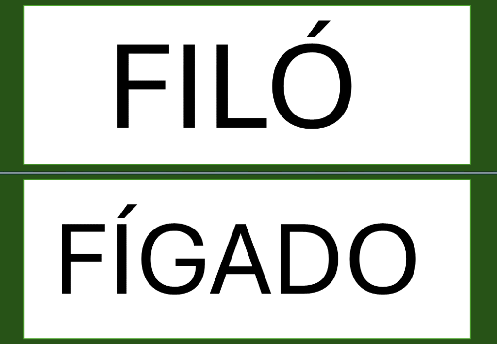 % Palavras com F e V 2024