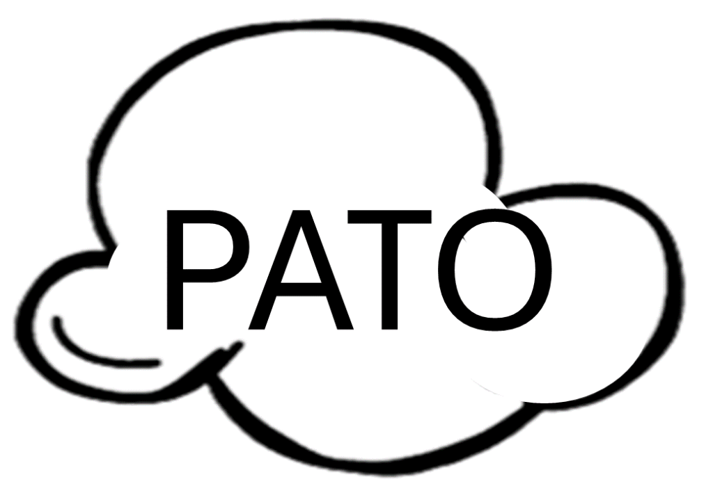 % Palavras leitura Letra P 2024