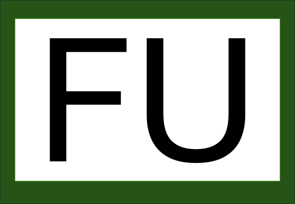 % Palavras com F e V 2024