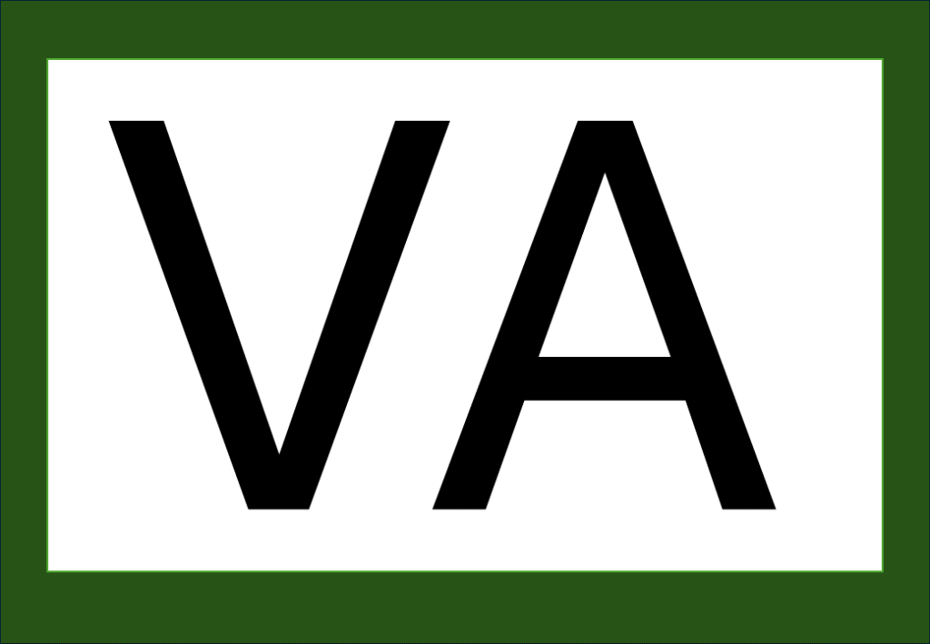 % Palavras com F e V 2024