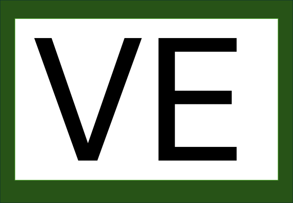 % Palavras com F e V 2024