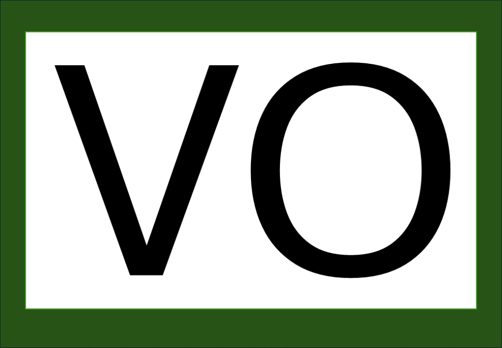 % Palavras com F e V 2024