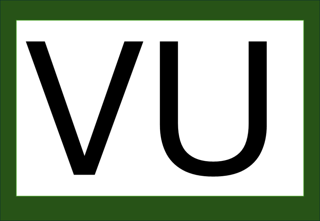 % Palavras com F e V 2024