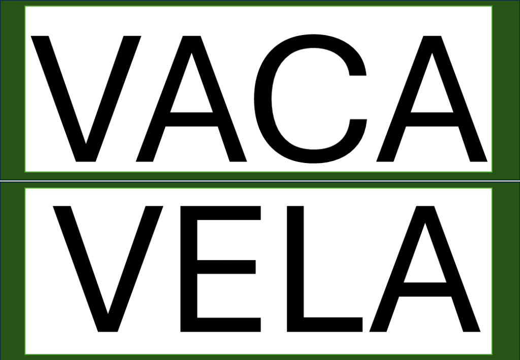 % Palavras com F e V 2024