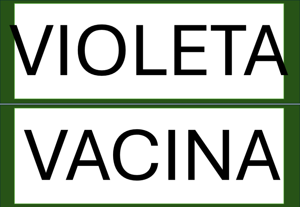 % Palavras com F e V 2024