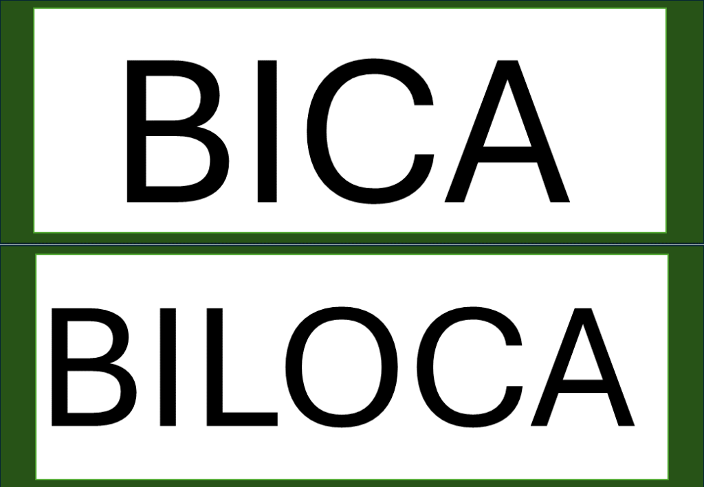 % Palavras com F e V 2024