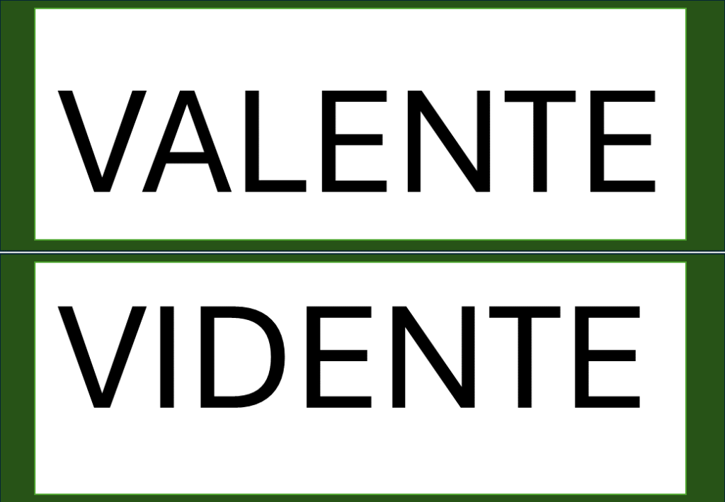 % Palavras com F e V 2024