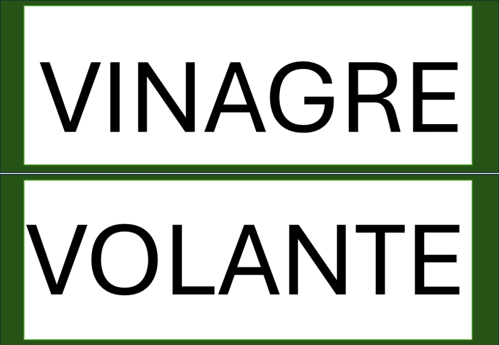 % Palavras com F e V 2024