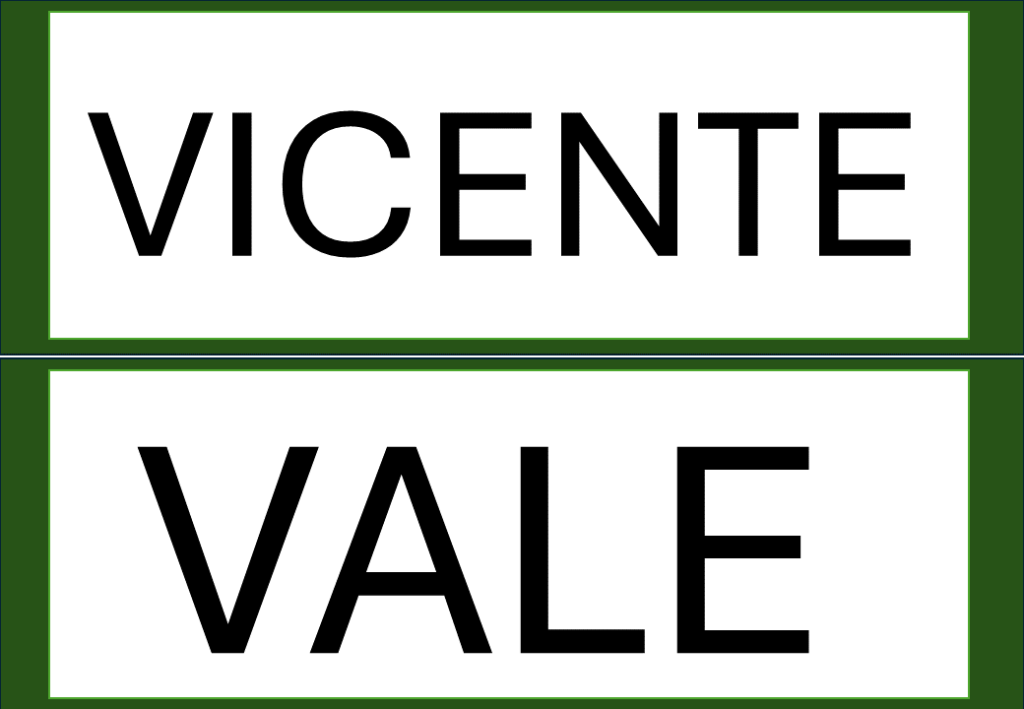 % Palavras com F e V 2024