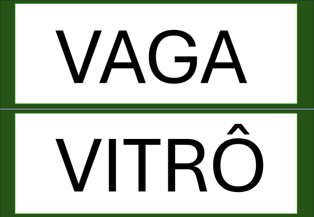 % Palavras com F e V 2024