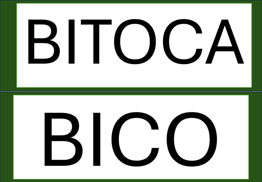 % Palavras com F e V 2024