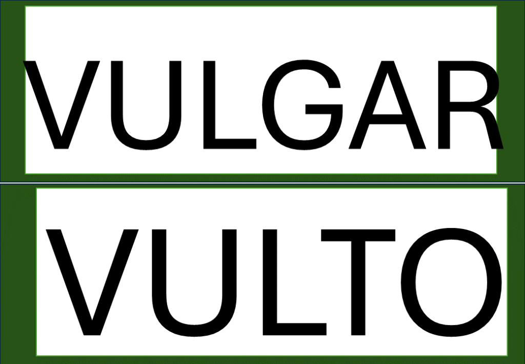 % Palavras com F e V 2024