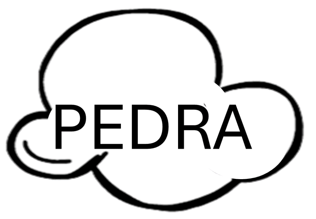 % Palavras leitura Letra P 2024