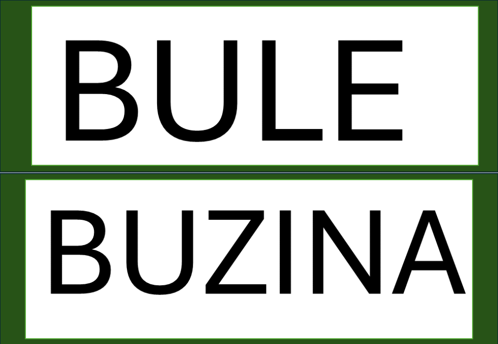 % Palavras com F e V 2024